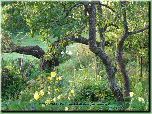 2005-08 Vogesen Garten-01.JPG