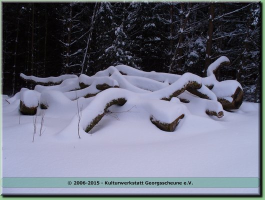 2006-03 Vogesen Winterlandschaft-13.JPG