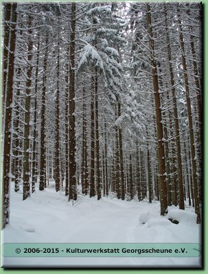 2006-03 Vogesen Winterlandschaft-14.JPG