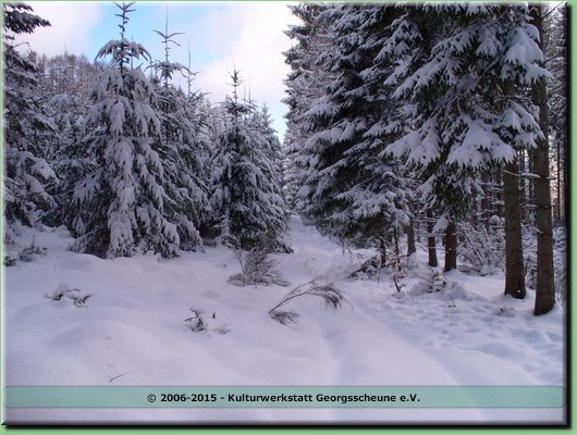 2006-03 Vogesen Winterlandschaft-16.JPG