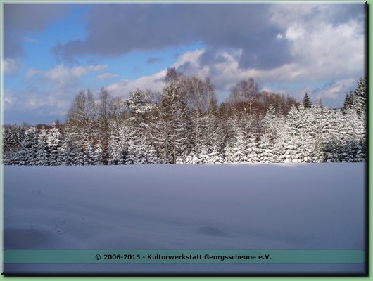 2006-03 Vogesen Winterlandschaft-18.JPG