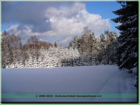 2006-03 Vogesen Winterlandschaft-19.JPG