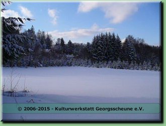 2006-03 Vogesen Winterlandschaft-20.JPG