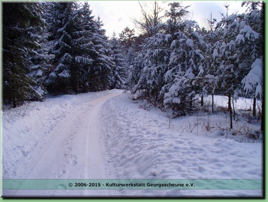 2006-03 Vogesen Winterlandschaft-21.JPG