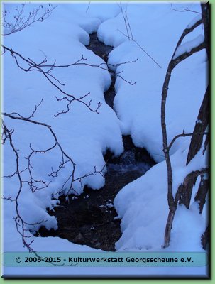 2006-03 Vogesen Winterlandschaft-23.JPG