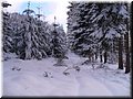 2006-03 Vogesen Winterlandschaft-16.JPG