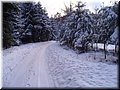 2006-03 Vogesen Winterlandschaft-21.JPG