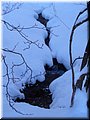 2006-03 Vogesen Winterlandschaft-23.JPG