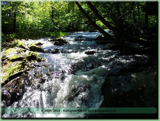 2005-08 Vogesen Saut-de-Cuves-03.JPG